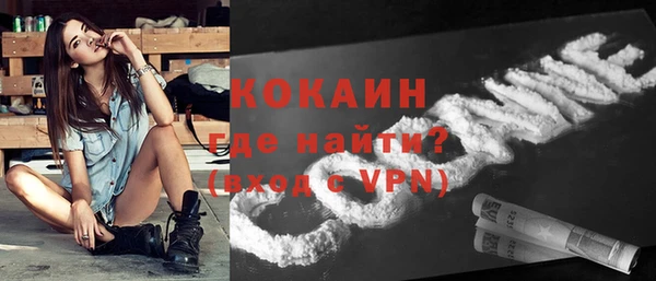 дмт Дмитровск