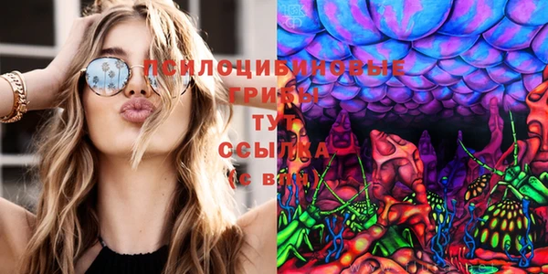 дмт Дмитровск