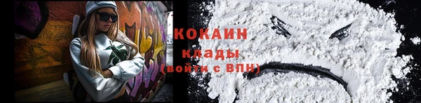 мяу мяу мука Дмитриев