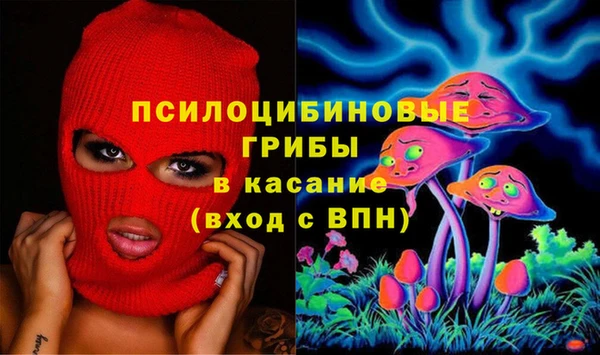 МДПВ Ельня