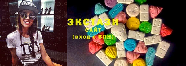МДПВ Ельня
