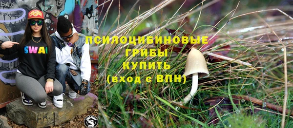 a pvp Дмитров