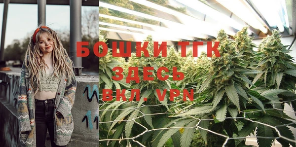 мяу мяу мука Дмитриев