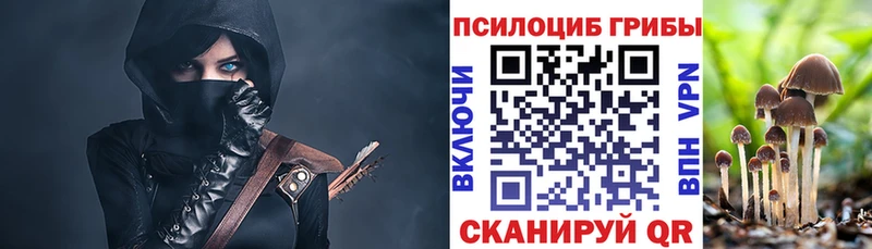 где купить наркотик  Мостовской  Псилоцибиновые грибы Psilocybe 